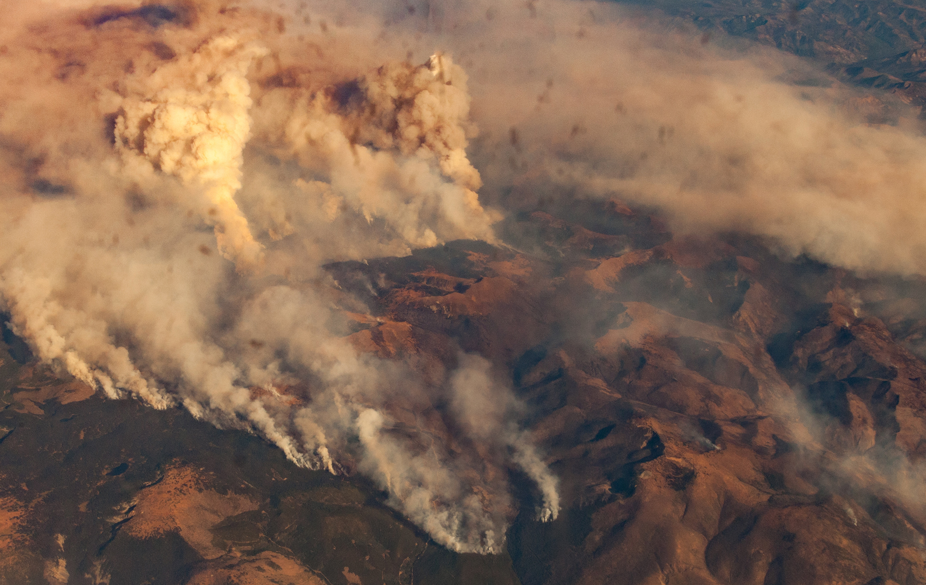 Towering wildfire plumes seen from the air